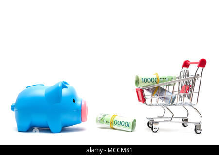Sparschwein und koreanischen Geld und Warenkorb auf weißem Hintergrund: Wirtschaft Konzept Stockfoto
