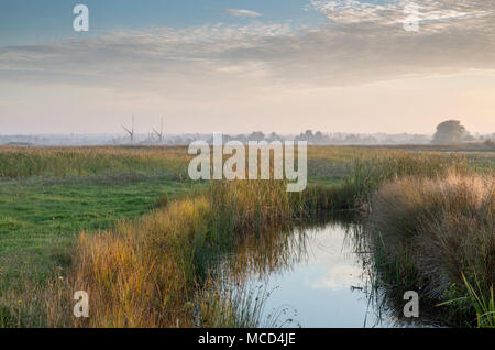 Am späten Nachmittag Blick über die Sümpfe von Oare nach Faversham, wo der Mast eines Thames Barge sichtbar ist. Stockfoto