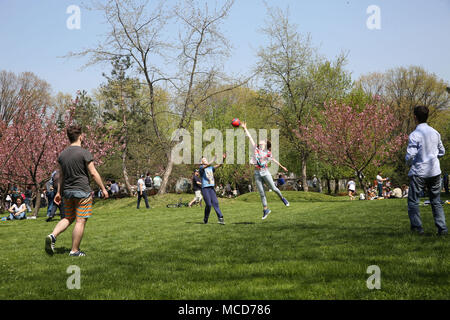 Bukarest, Rumänien. 15 Apr, 2018. Die Menschen genießen die Kirschblüte im Herastrau Park in Bukarest, Rumänien, 15. April 2018. Credit: Gabriel Petrescu/Xinhua/Alamy leben Nachrichten Stockfoto