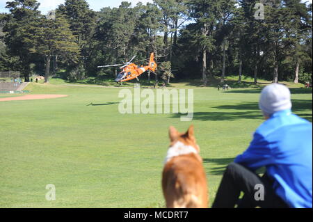 Einem MH-65 Dolphin helicopter Crew von Coast Guard Air Station San Francisco zieht aus grossen Rec Feld im Golden Gate Park, San Francisco, nachdem es eine Notlandung früh am Tag, Februar 22, 2018. Die Mannschaft landete nach einer Warnung, eines offensichtlichen Heckrotor Störung aufmerksam gemacht (Küstenwache Foto von Seaman Tyquise Parker/freigegeben). Stockfoto