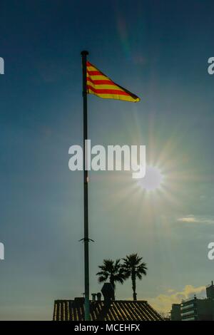 Katalanische Flagge, Pineda de Mar, Barcelona Küste. Stockfoto