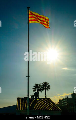Katalanische Flagge, Pineda de Mar, Barcelona Küste. Stockfoto
