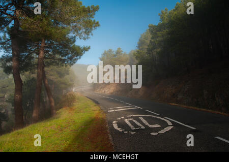 Foggy Road, schlechte Sichtbarkeit. Verkehrszeichen. Stockfoto