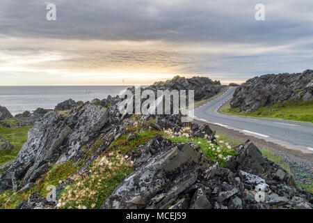 Felsigen Klippen an der Küste der Barentssee, Varangerhalvoya Nationalpark, Varanger Halbinsel, Finnmark, Norwegen Stockfoto