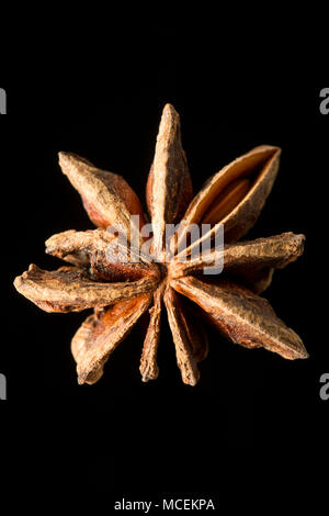 Sternanis, Illicium verum, gekauft von einem Supermarkt in Großbritannien. Sternanis ist beliebt in der asiatischen Küche und ist auch medizinisch genutzt. England UK GB Stockfoto