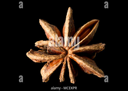 Sternanis, Illicium verum, gekauft von einem Supermarkt in Großbritannien. Sternanis ist beliebt in der asiatischen Küche und ist auch medizinisch genutzt. England UK GB Stockfoto