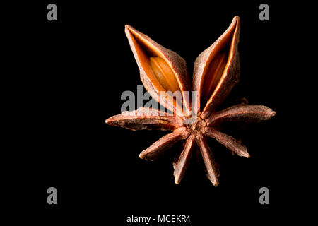 Sternanis, Illicium verum, gekauft von einem Supermarkt in Großbritannien. Sternanis ist beliebt in der asiatischen Küche und ist auch medizinisch genutzt. England UK GB Stockfoto