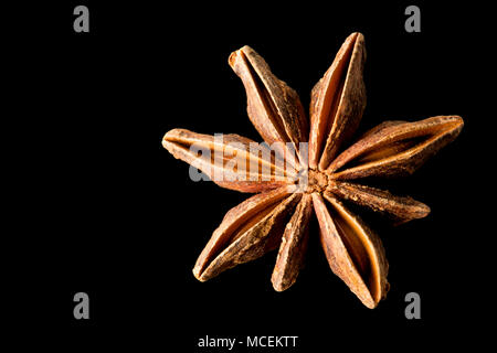 Sternanis, Illicium verum, gekauft von einem Supermarkt in Großbritannien. Sternanis ist beliebt in der asiatischen Küche und ist auch medizinisch genutzt. England UK GB Stockfoto