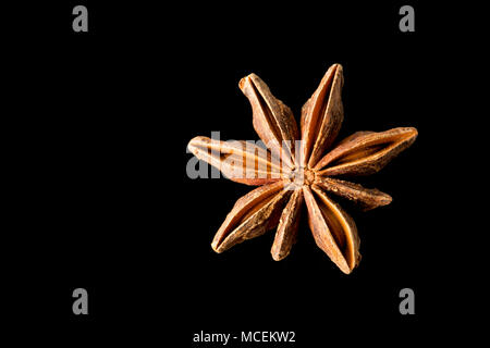 Sternanis, Illicium verum, gekauft von einem Supermarkt in Großbritannien. Sternanis ist beliebt in der asiatischen Küche und ist auch medizinisch genutzt. England UK GB Stockfoto