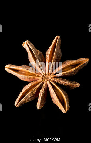 Sternanis, Illicium verum, gekauft von einem Supermarkt in Großbritannien. Sternanis ist beliebt in der asiatischen Küche und ist auch medizinisch genutzt. England UK GB Stockfoto