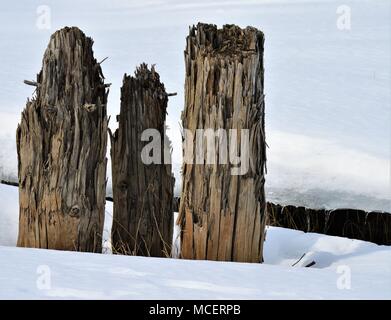Polen im Eis Stockfoto