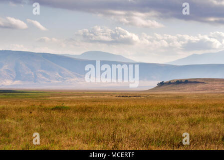 Malerischer Blick auf Wiesen und Bergrücken des Ngorongoro Krater, Ngorongoro Conservation Area, Tansania Stockfoto
