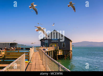 Garibaldi, Oregon, USA - 30. Juli 2011: US Coast Guard historischen Boat House 'Piers Ende' an der Küste von Oregon. Stockfoto