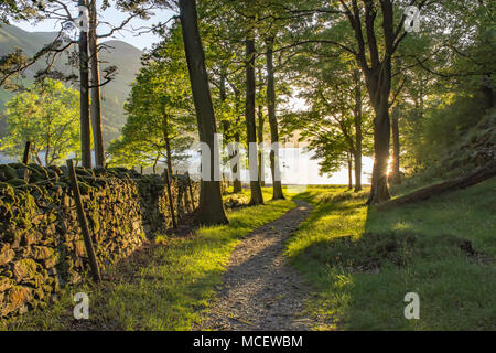 Sonnenuntergang über Buttermere See im Nationalpark Lake District, Cumbria, Uk. schöne Landschaft des Lake District im Frühjahr. langen Nachmittag Schatten im Wald. Stockfoto