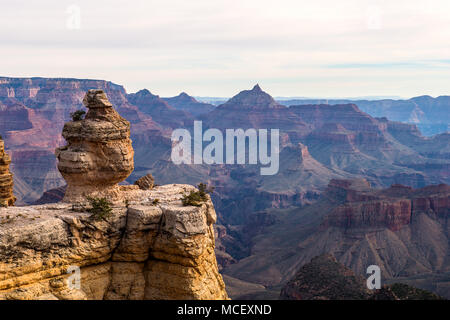 Der Grand Canyon National Park, Arizona USA Stockfoto