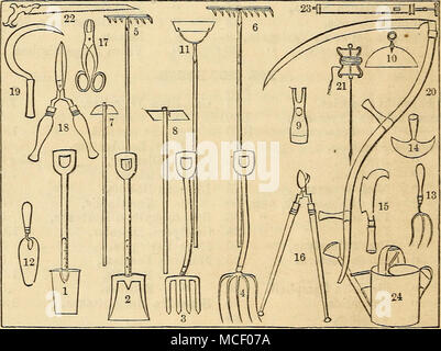 . Nr. 1, im Diagramm stellt den normalen Stahlguss Garten Spaten. Nr. 2, Stahlguss, Schaufel, D behandelt, für die Aufnahme von Abfall, &Amp; c. Nr. 3, stahl Graben Gabel, indispensa für jeden Garten. Nr. 4, stahl Dunggabel. Nr. 5, stahl Garten Harken. Nr. 6, Rasen Harken. Nr. 7, Rübe, oder Zwiebel hacken. Nr. 8, stahl Garten Hoe. Nr. 9, Stahl - Hoe Zinkige. Nr. 10, Crescent-Hoe. Nr. 11, Handgemenge, Niederländisch oder Hacke. Nr. 12, Garten Kelle. Nr. 13, Stahl "Jäten Gabel. Nr. 14, Stahl Gras Bekanten Messer. Nr. 15, bearbeitet oder im Briar Haken. Nr. 16, starke langstieligen Baum-, Reb- und Gartenscheren Stockfoto