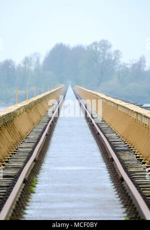 Restaurierte Eisenbahnbrücke in Nichtnutzung im Naturschutzgebiet De Moerputten, Den Bosch, Niederlande Stockfoto