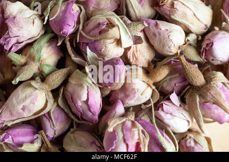 In der Nähe von kleinen, getrocknete Rosa rosebuds bilden einen duftenden Potpourri Hintergrund. Stockfoto
