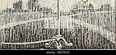 . Kevolving^ Rasensprenger. Diese wir die Ery besten Muster foi Die puipose, für die sie vorgesehen sind, "^"&gt; • und auch das Beste in Punkt von r, ^g^^^ Ich." b tragen. Pecks 8 arm.. .. 3&gt; 4 00 Pecks 4 Arm 3 60 Wasser Hexe. Kleine umlaufende Rasen und Garten. Schraube, um den Schlauch und den piu im Boden. 60 Cent; per Mail 70 Cent. Kalifornien Lawn Sprinkler. Eine der vollständigsten drehenden Rasensprenger. Preis § 1.00. Rainmaker Lawn Sprinkler. Amerikanische schwere Bewässerung Töpfe. Grün lackiert. Oval. Runde. 4 Quart 1 $ 75 $ 1 25 6 2 00 1 60 8 2 5 Stockfoto