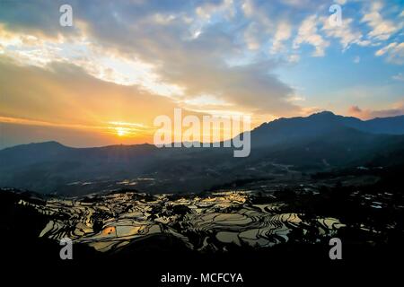 Sonnenaufgang von Reis terrassierte Feld in Wasser Jahreszeit in YuanYang, China Stockfoto