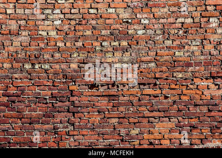 Roten Backsteinmauer Stockfoto