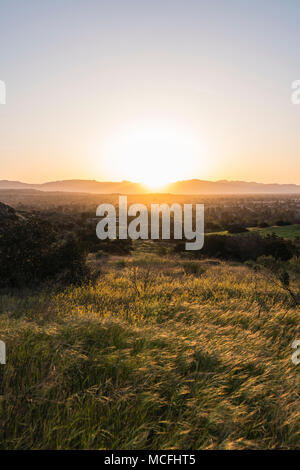Vertikale sonnenaufgang Blick auf frühlingswiese im Santa Susana State Historic Park in San Fernando Valley Gegend von Los Angeles, Kalifornien. Stockfoto