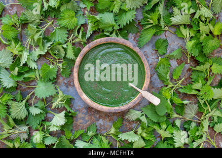 Hat wild Essen. Schüssel Brennnessel-suppe und Brennnesseln auf einer Schiefertafel Hintergrund. Großbritannien Stockfoto