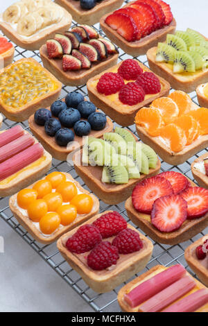 Bunte square Obstkuchen auf einem Gitter vor einem weißen Hintergrund Stockfoto