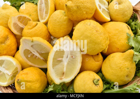 Zitrone, gelbe Zitrusfrüchte, Italien Stockfoto