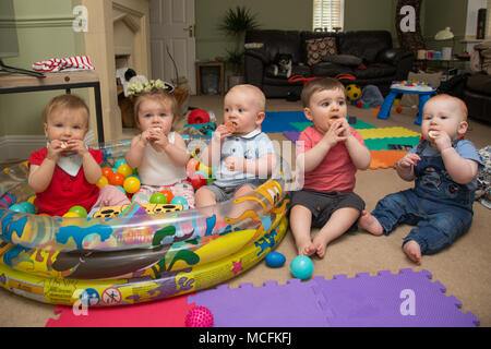 Eine Kinderpflegerin, die sich in ihrem Haus, Großbritannien, um Babys kümmern muss Stockfoto