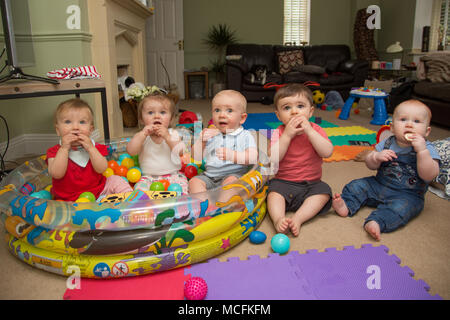 Eine Kinderpflegerin, die sich in ihrem Haus, Großbritannien, um Babys kümmern muss Stockfoto