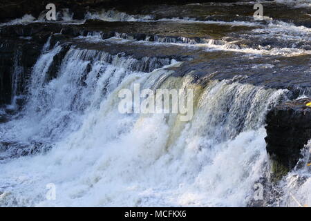 Aysgarth fällt: die herrlichen Wasserfälle auf dem Fluß Ure, North Yorkshire, Großbritannien Stockfoto