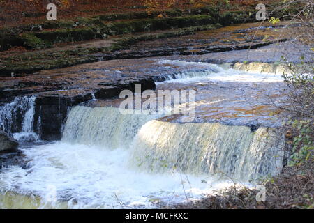 Aysgarth fällt: die herrlichen Wasserfälle auf dem Fluß Ure, North Yorkshire, Großbritannien Stockfoto