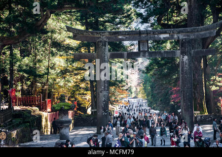 Der große Stein Torii auf der Allee, die zu den Tempeln von Nikko Stockfoto