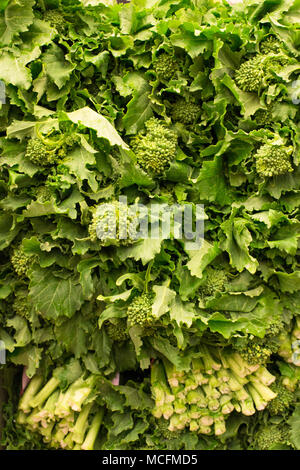 Frische rohe grüne grüne Brokkoli Rabe rapini Stockfoto