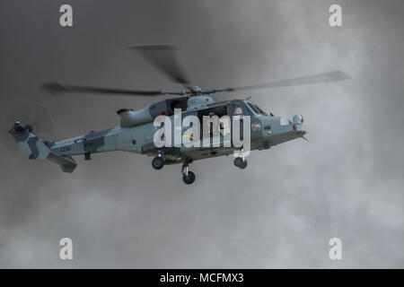 Mit 847 NAS-Ausbildung in den USA die Wildkatze ein H Mk1, die an die Rolle Demonstration kamen aus 652 squadron Army Air Corps, dem ut trägt die Stockfoto