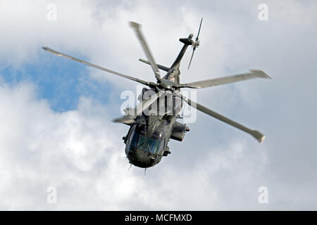 Die aktuelle Amphibisches helicopte der CHF Merlin die SEa King ersetzt haben, von denen 10 in der Lage sein wird, ein Unternehmen in einem Aufzug, der HM zu landen Stockfoto