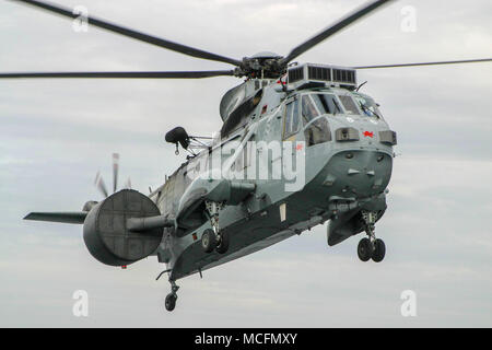 Westland Sea King ASaC Mk7 Stockfoto