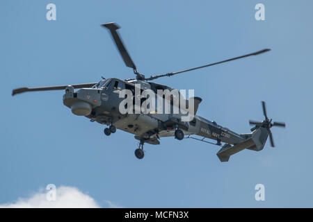 Die Wildkatze Maritime Force Rolle Demonstration sah ein paar Wildcat H M eine Mk 2 Hubschrauber. Stockfoto