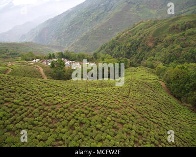 Darjeeling, Indien, 15. APRIL 2011: Luftaufnahme von Seilbahn mit Teeplantagen in Darjeeling, Indien Stockfoto