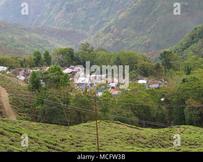 Darjeeling, Indien, 15. APRIL 2011: Luftaufnahme von Seilbahn mit Teeplantagen in Darjeeling, Indien Stockfoto