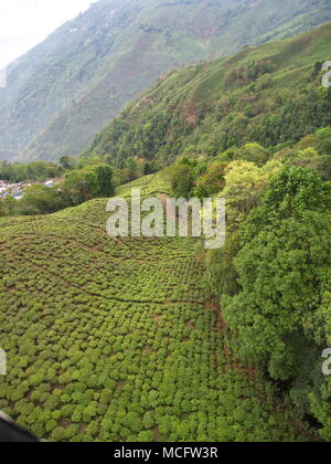 Darjeeling, Indien, 15. APRIL 2011: Luftaufnahme von Seilbahn mit Teeplantagen in Darjeeling, Indien Stockfoto