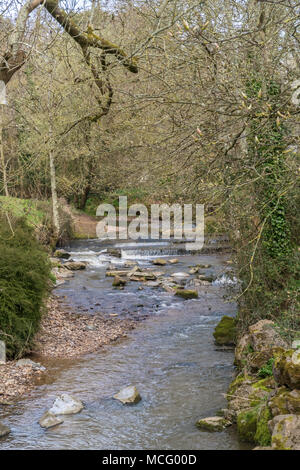 Der Fluss fließt durch das Sid Byes, Sidmouth. Die Sid ist einer der kürzesten Flüsse Englands, 6 Meilen lang. Stockfoto