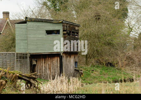 Kingfisher Ausblenden mit Linsen des Naturfotografen im Roggen Meads RSPB Nature Reserve, Hoddesdon, England Stockfoto