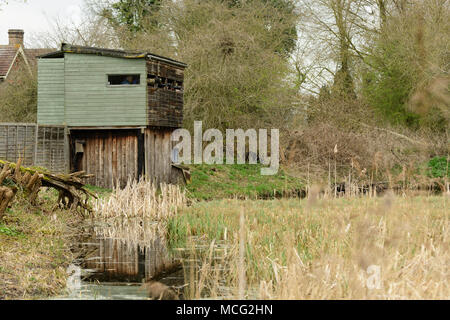 Kingfisher Ausblenden mit Linsen des Naturfotografen im Roggen Meads RSPB Nature Reserve, Hoddesdon, England Stockfoto