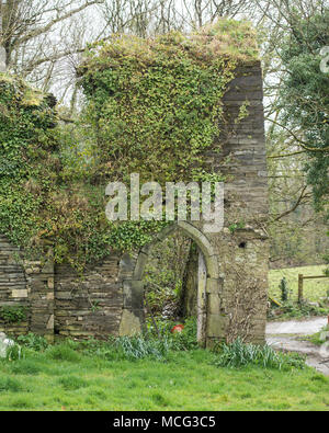 Ruine Stockfoto