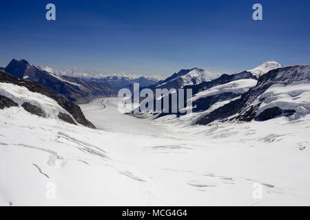 Die jungfraufirn Gletscher, die zu Konkordiaplatz, wo drei Gletscher verbinden, bilden den Grossen Aletschgletscher, Berner Oberland, Schweiz Stockfoto