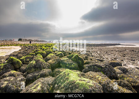 Rocky Moos bedeckt Wellenbrecher am Strand von Morecambe, England, UK. Morecambe Stadt Skyline ist im Hintergrund sichtbar. Am 11. April 2018 berücksichtigt. Stockfoto