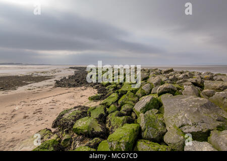 Rocky Moos bedeckt Wellenbrecher am Strand von Morecambe, England, UK. Am 11. April 2018 berücksichtigt. Stockfoto