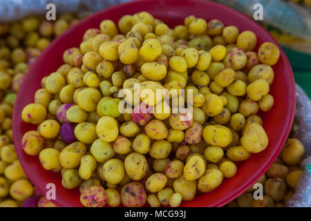 Mellocos Teil in den Anden, Ecuador Stockfoto